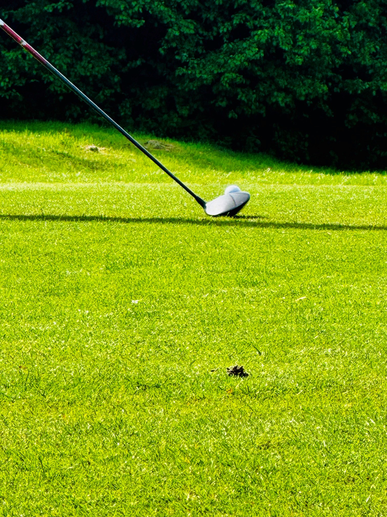 Das Foto zeigt einen Golfschläger kurz vor dem Abschlag. Der Zoom des fotos liegt auf dem Ball.